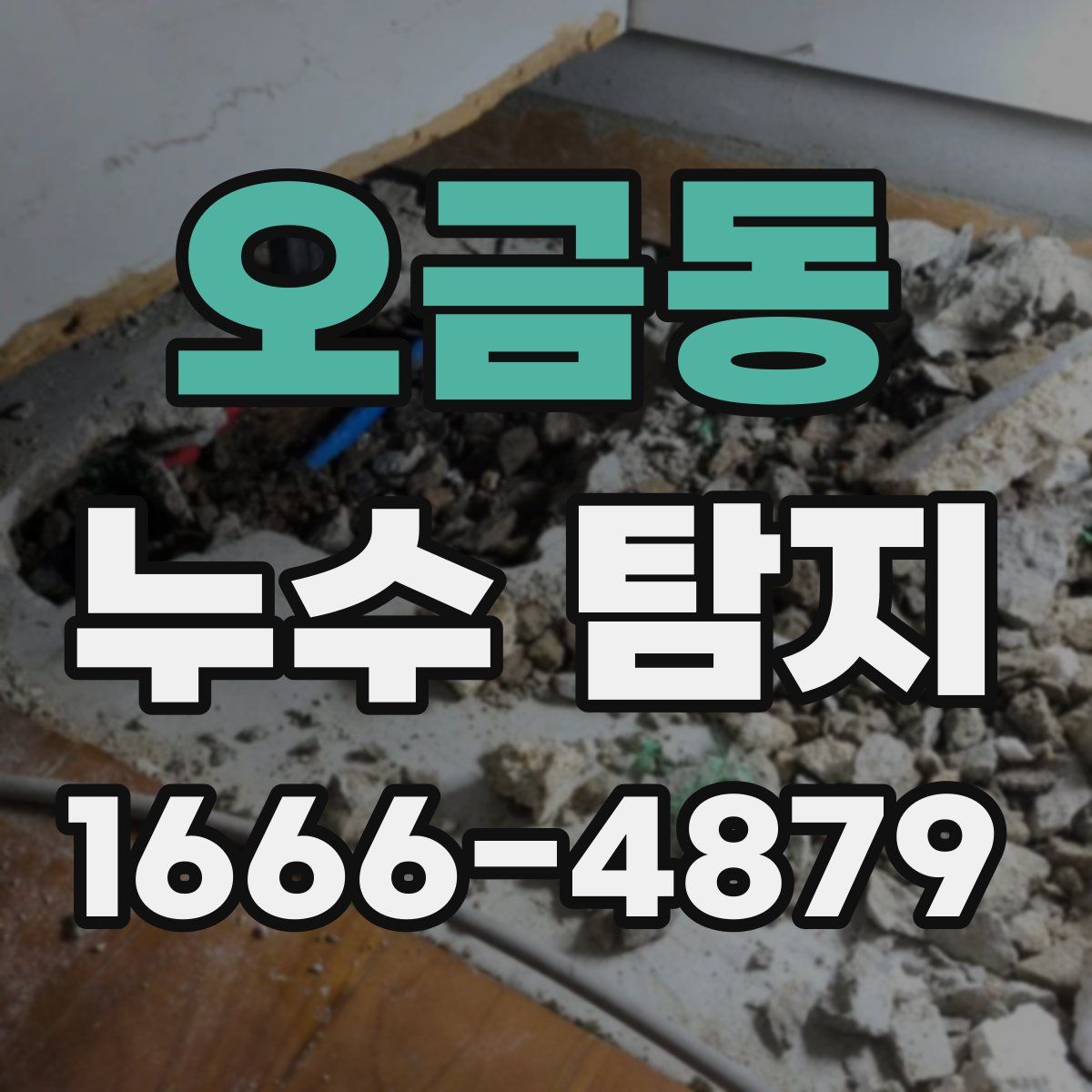 오금동 누수 탐지