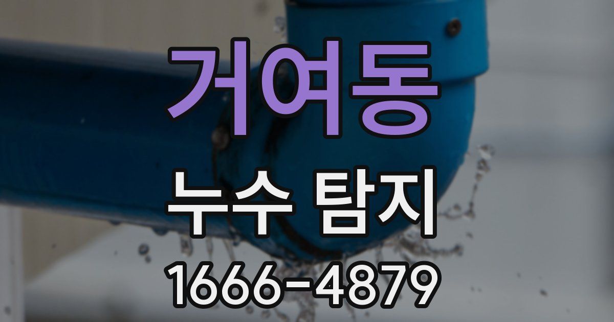 거여동 누수 탐지