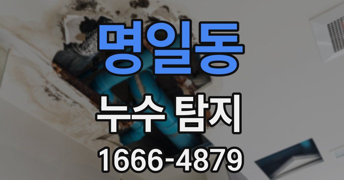 명일동 누수 탐지