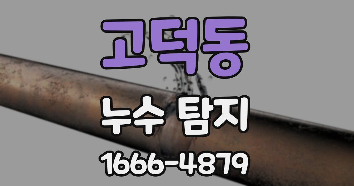 고덕동 누수 탐지