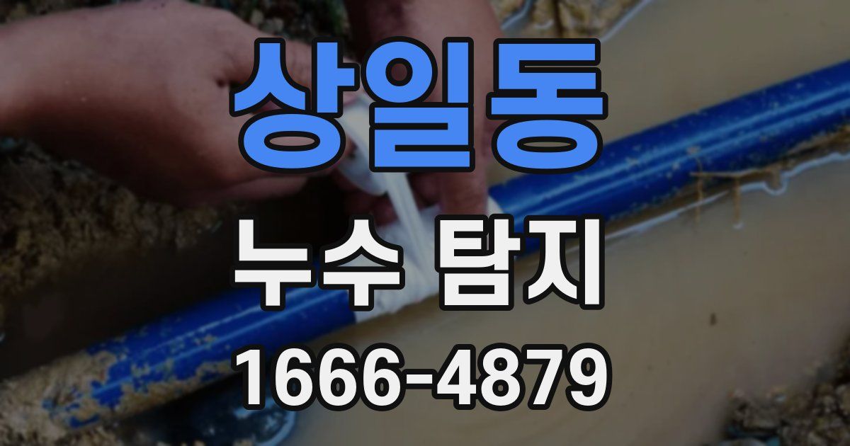 상일동 누수 탐지