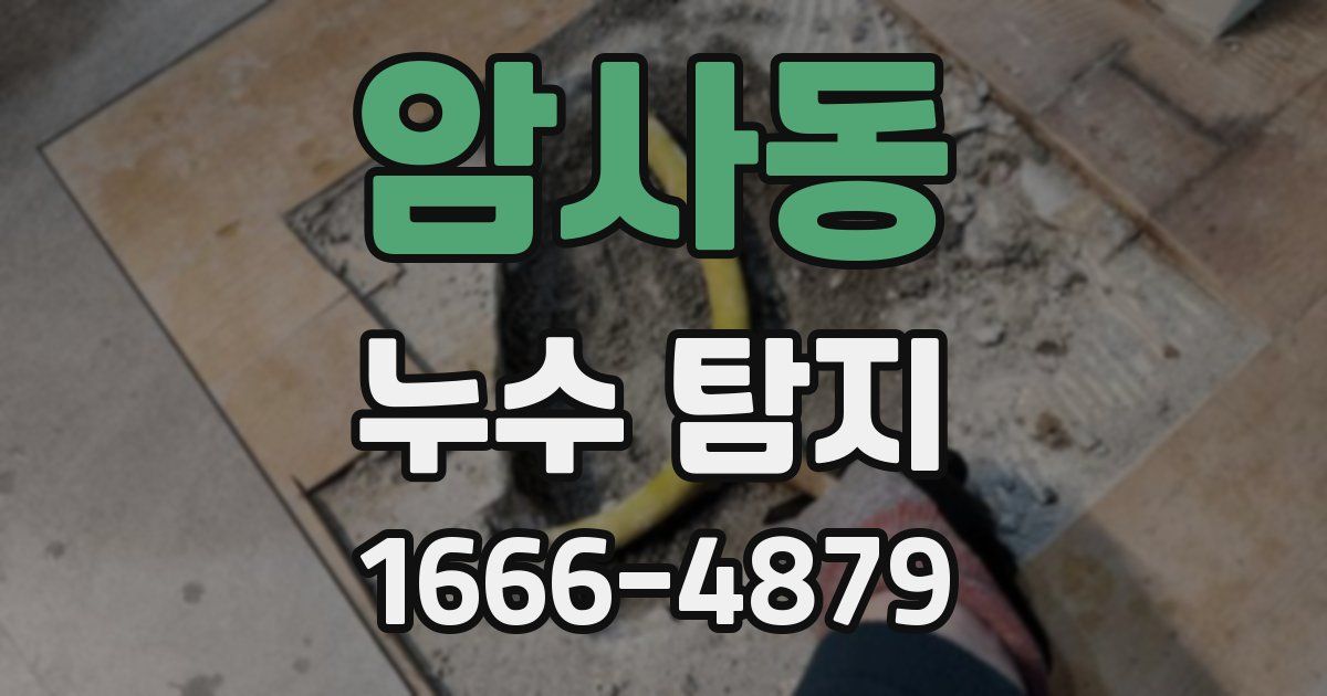 암사동 누수 탐지