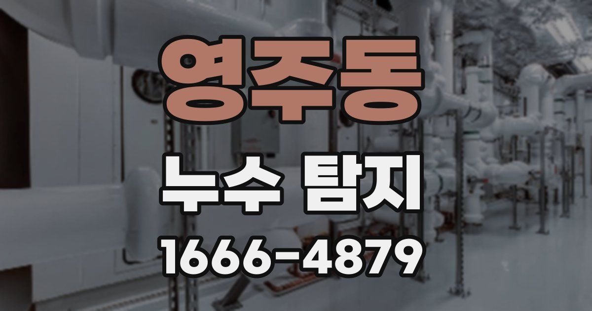 영주동 누수 탐지