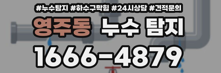 영주동 누수 탐지