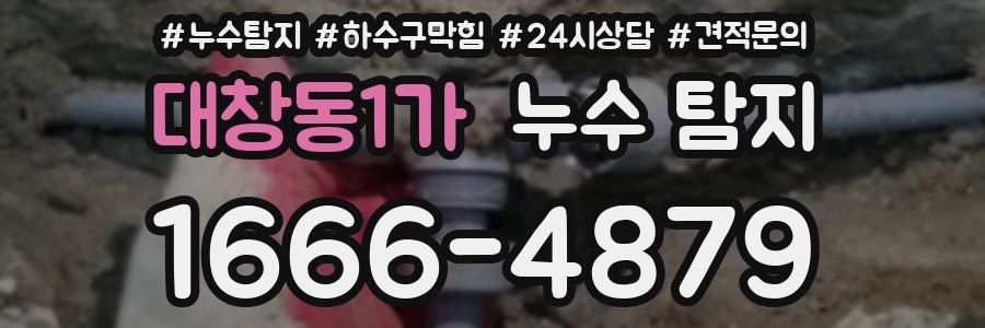대창동1가 누수 탐지