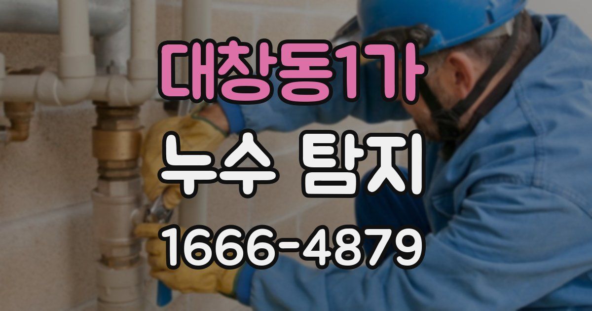 대창동1가 누수 탐지