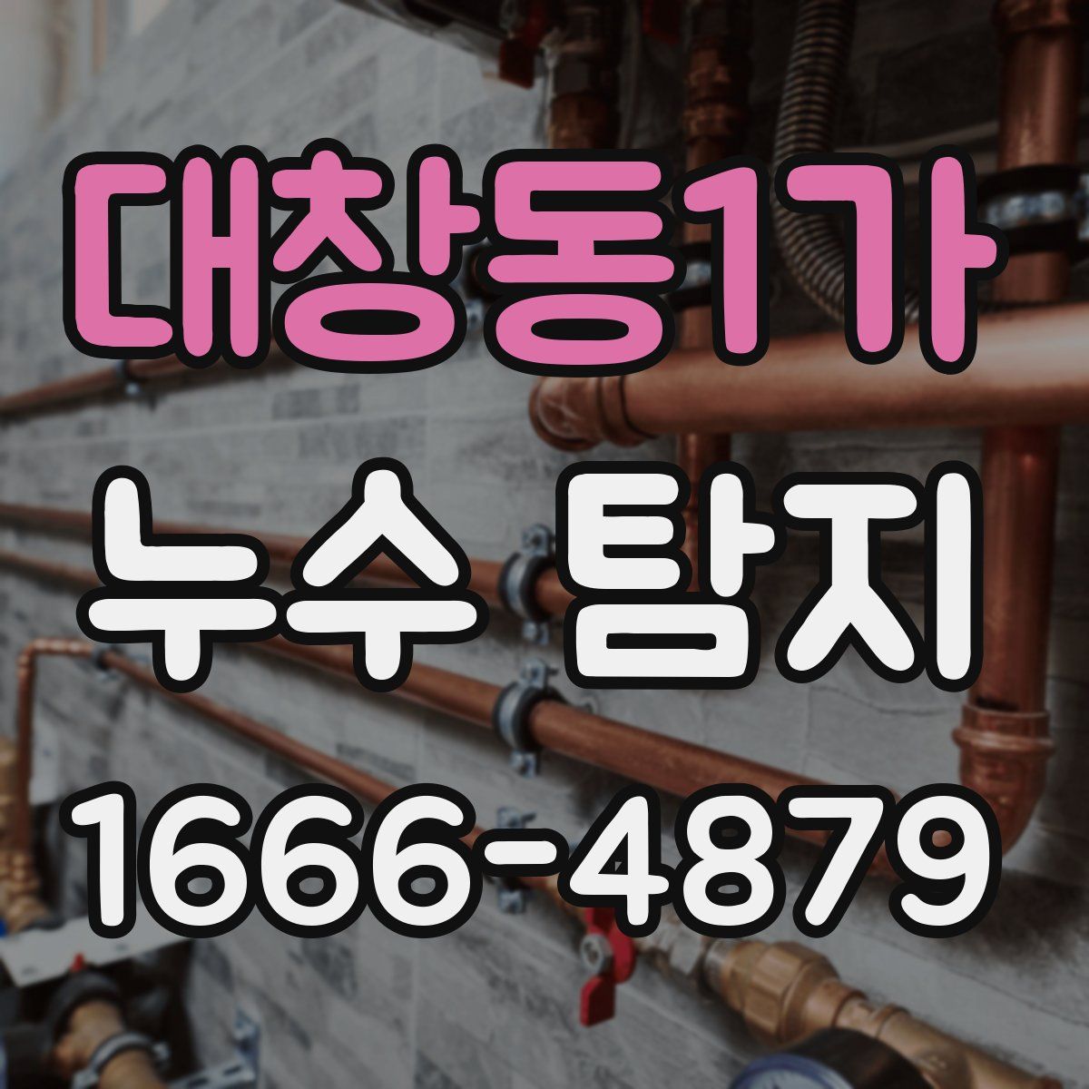 대창동1가 누수 탐지