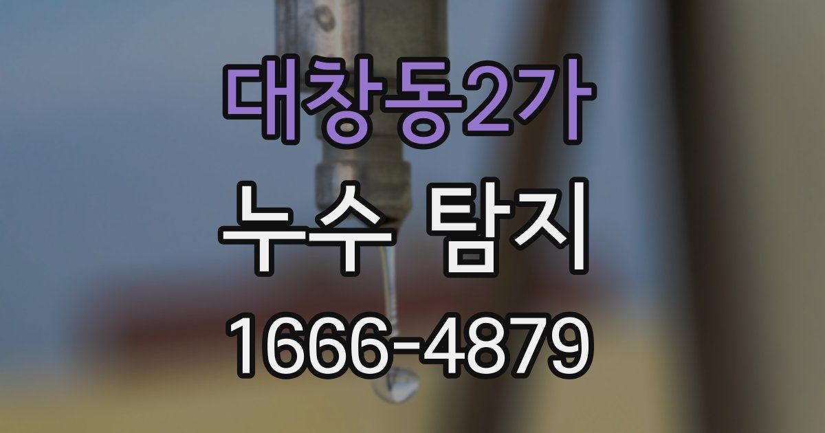 대창동2가 누수 탐지