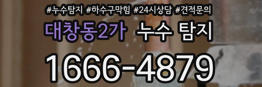 대창동2가 누수 탐지