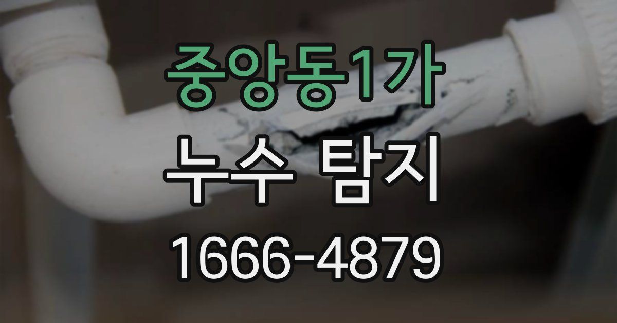 중앙동1가 누수 탐지