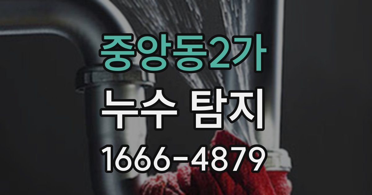 중앙동2가 누수 탐지