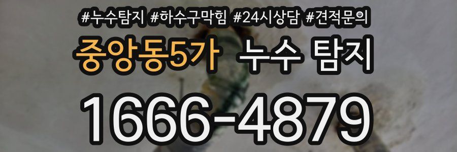 중앙동5가 누수 탐지