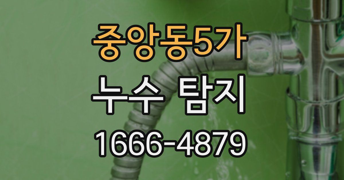 중앙동5가 누수 탐지