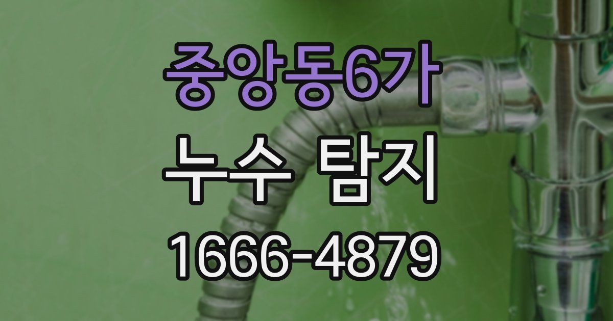 중앙동6가 누수 탐지