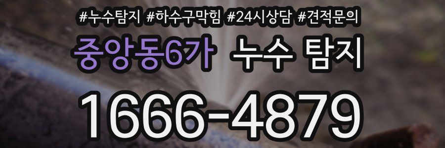 중앙동6가 누수 탐지