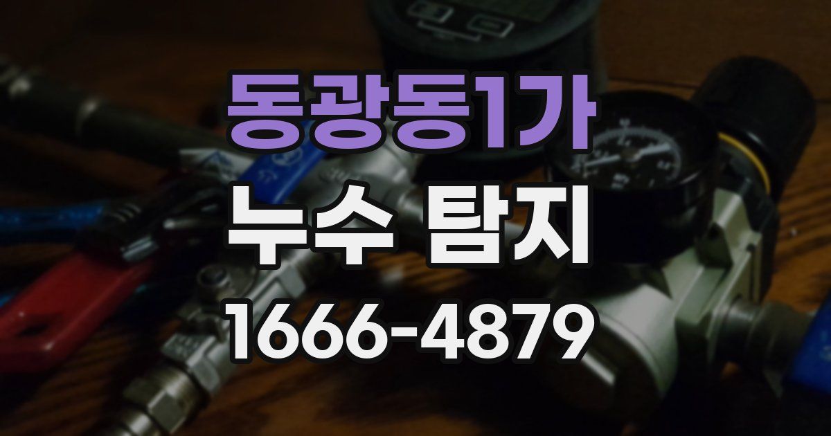 동광동1가 누수 탐지