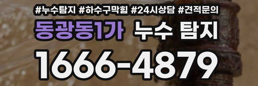 동광동1가 누수 탐지