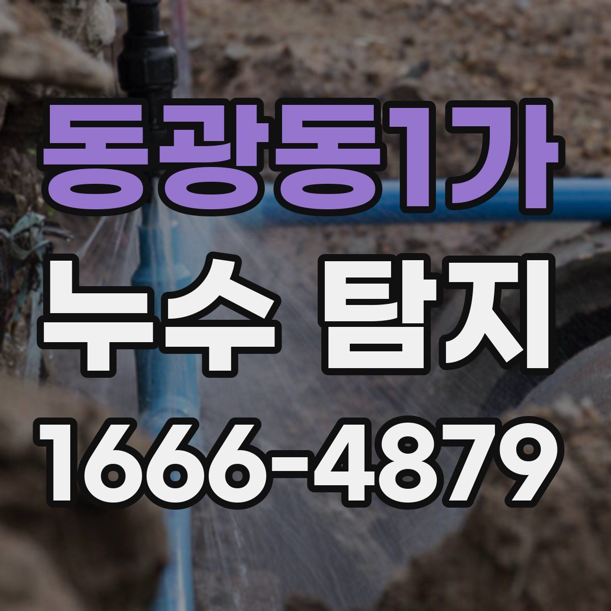 동광동1가 누수 탐지