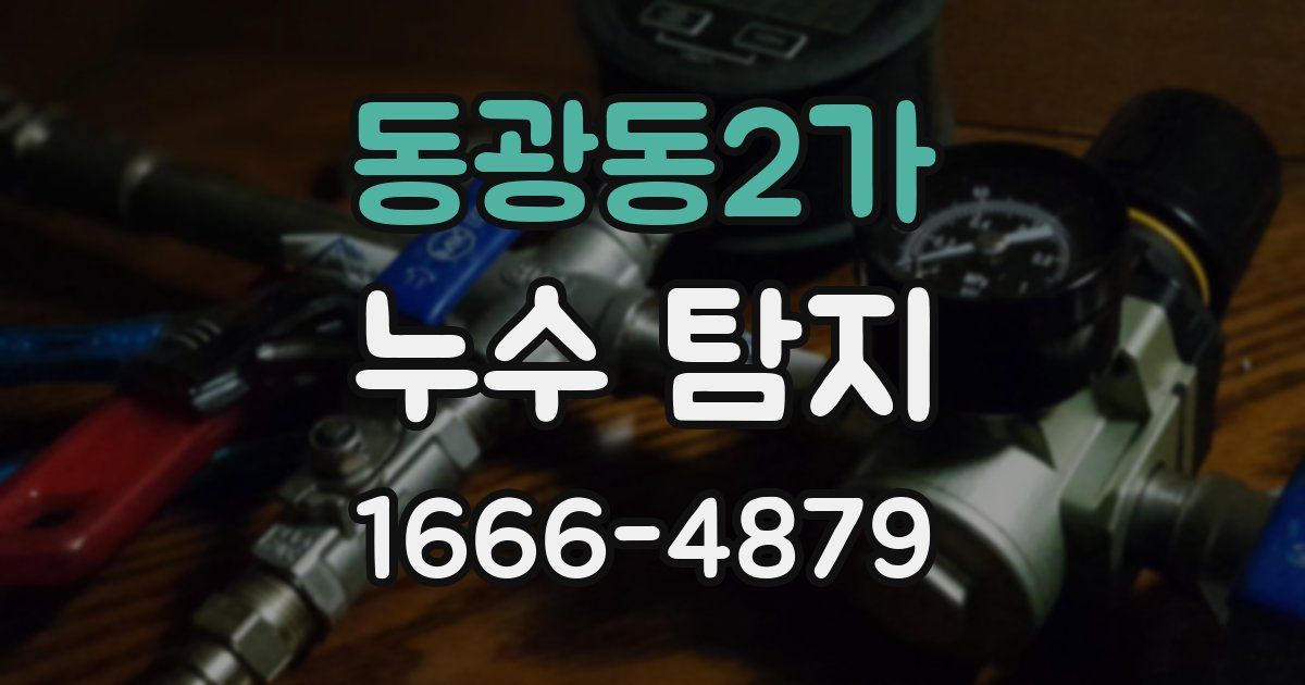 동광동2가 누수 탐지