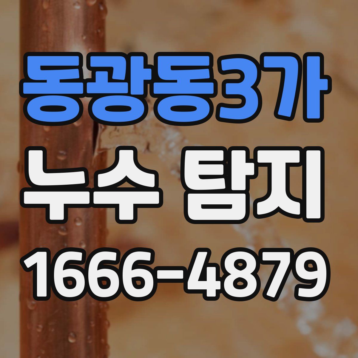 동광동3가 누수 탐지