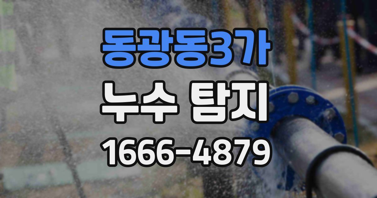 동광동3가 누수 탐지