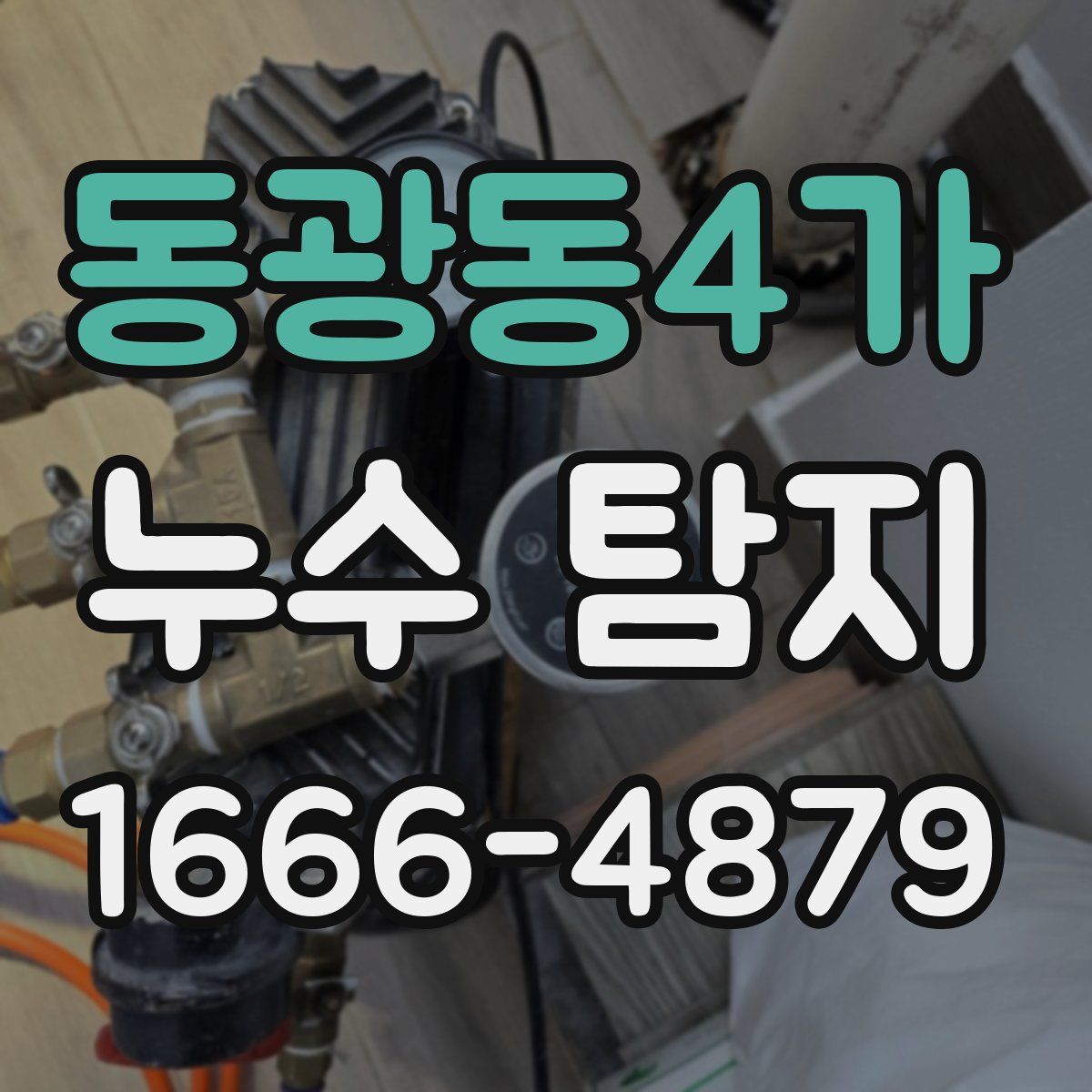동광동4가 누수 탐지