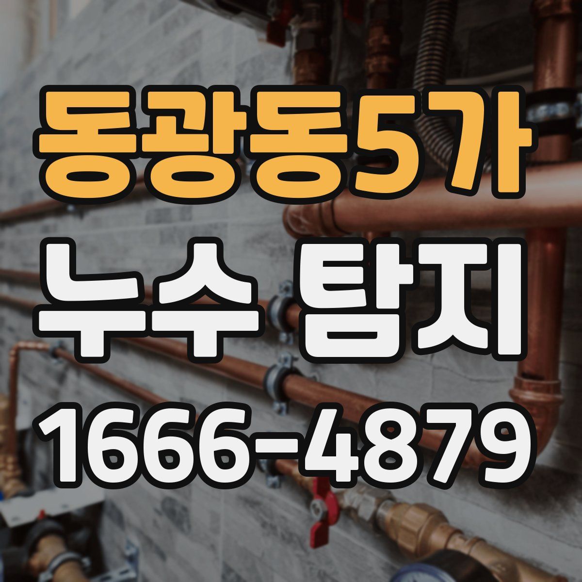 동광동5가 누수 탐지