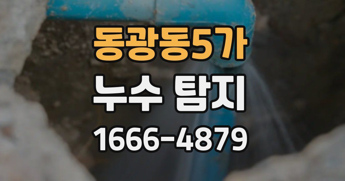 동광동5가 누수 탐지
