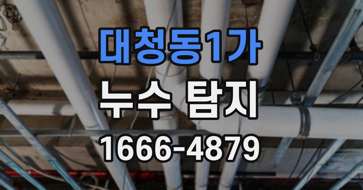 대청동1가 누수 탐지