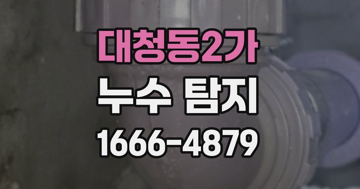 대청동2가 누수 탐지