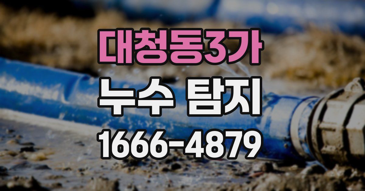 대청동3가 누수 탐지