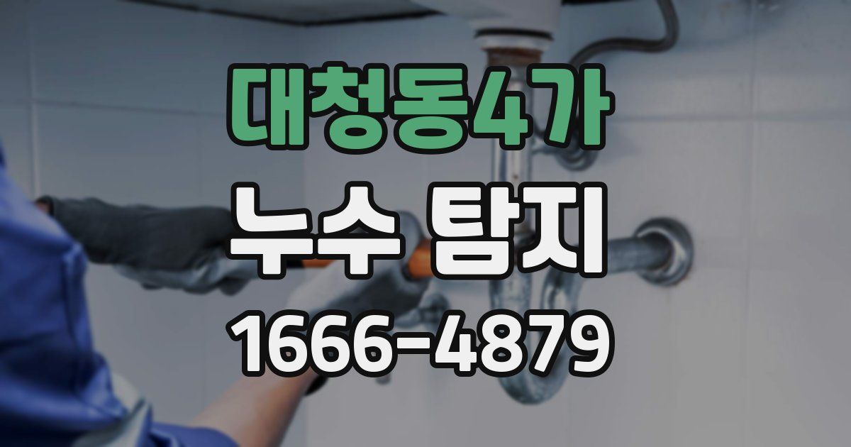 대청동4가 누수 탐지