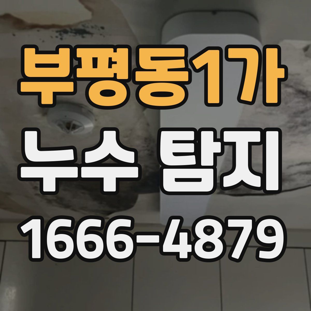 부평동1가 누수 탐지