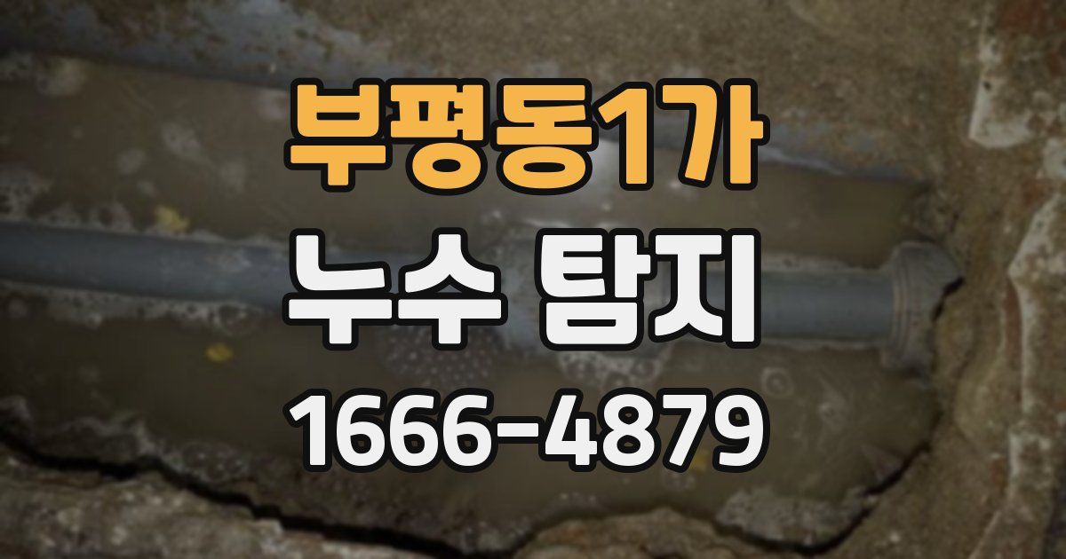 부평동1가 누수 탐지