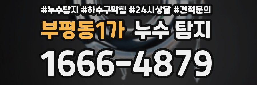 부평동1가 누수 탐지