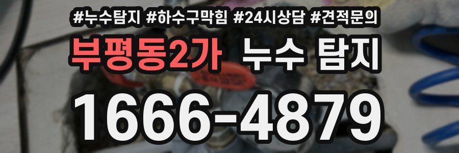 부평동2가 누수 탐지
