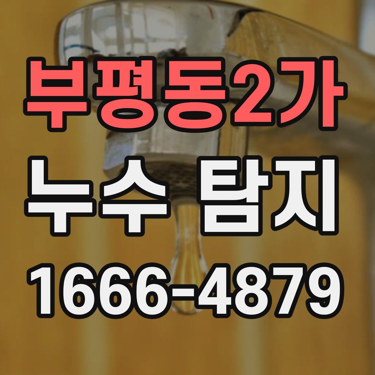 부평동2가 누수 탐지