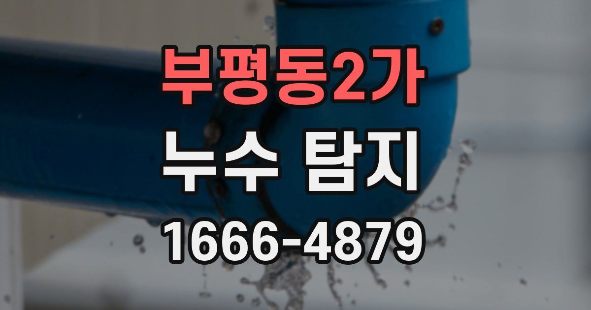 부평동2가 누수 탐지