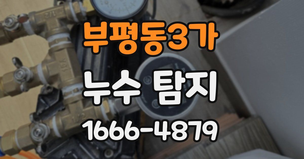 부평동3가 누수 탐지