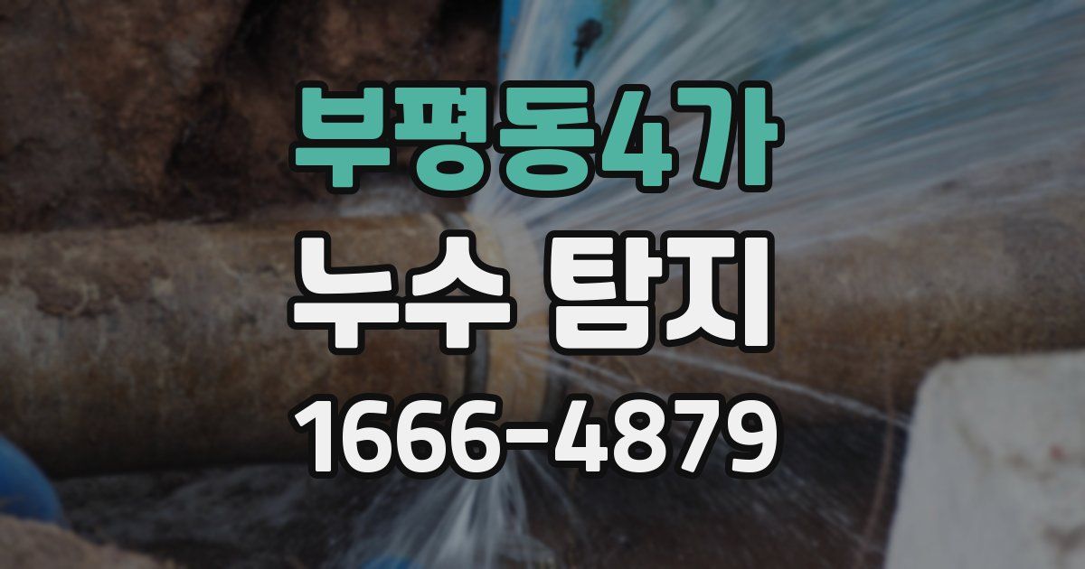부평동4가 누수 탐지