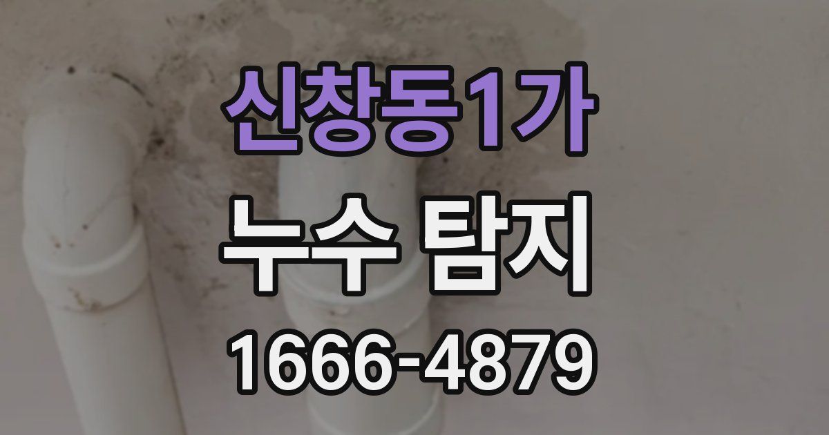 신창동1가 누수 탐지