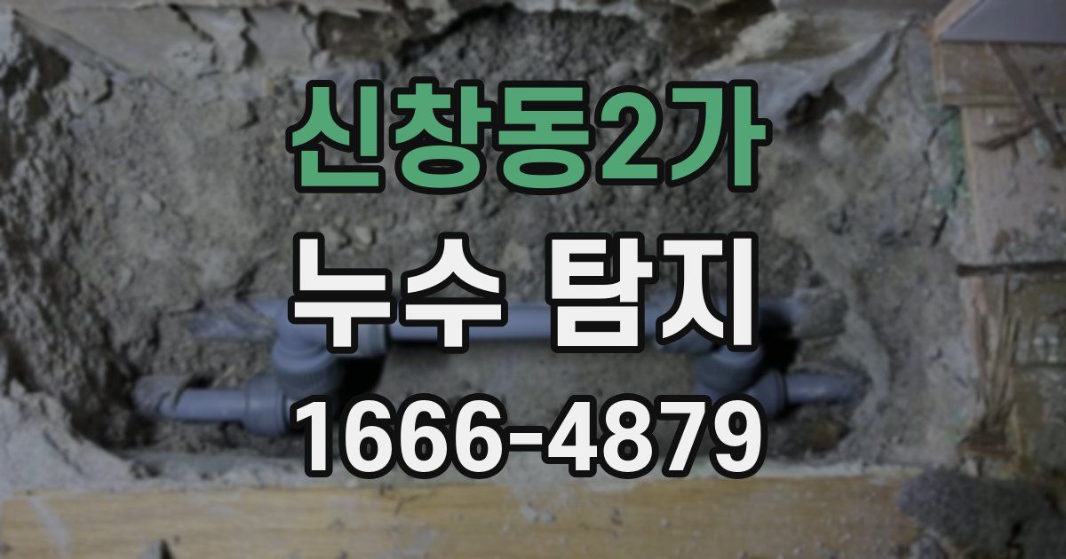 신창동2가 누수 탐지