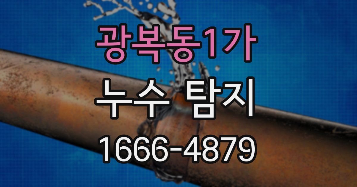 광복동1가 누수 탐지