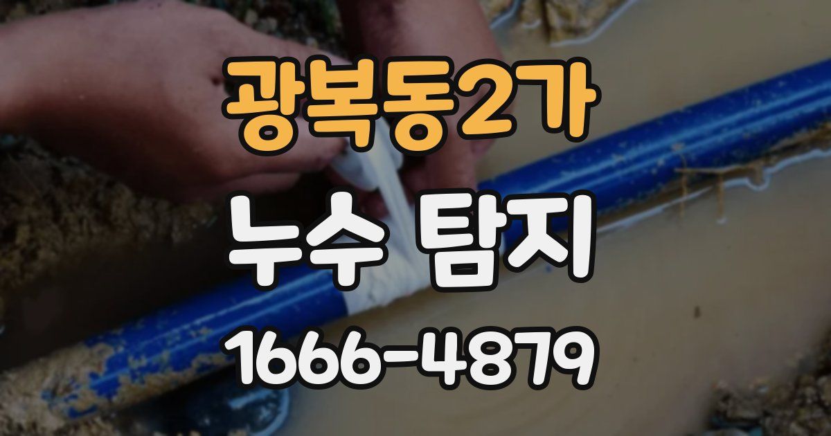 광복동2가 누수 탐지