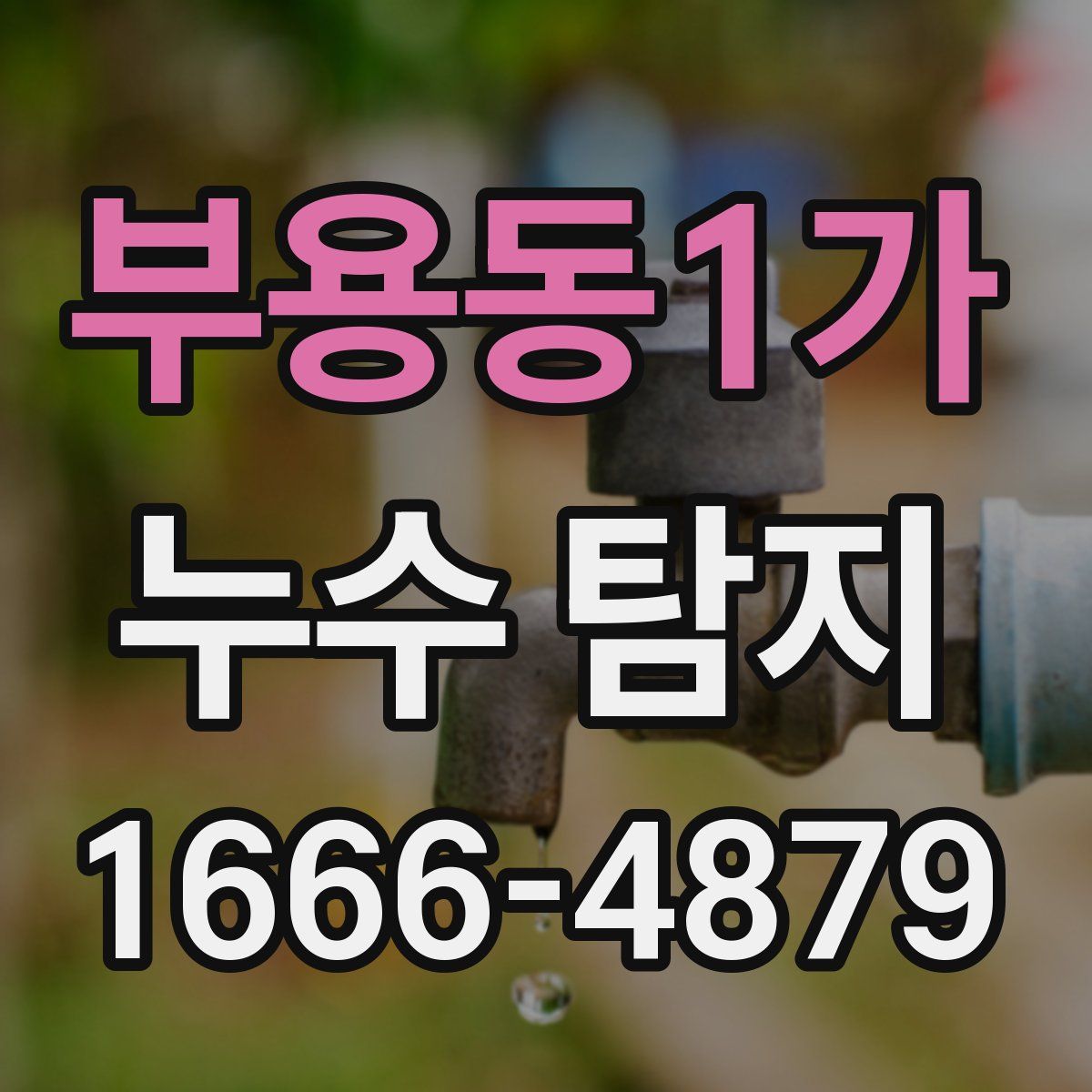 부용동1가 누수 탐지
