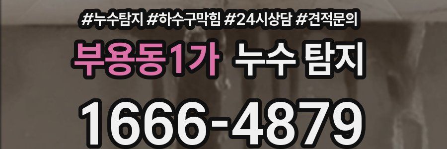 부용동1가 누수 탐지