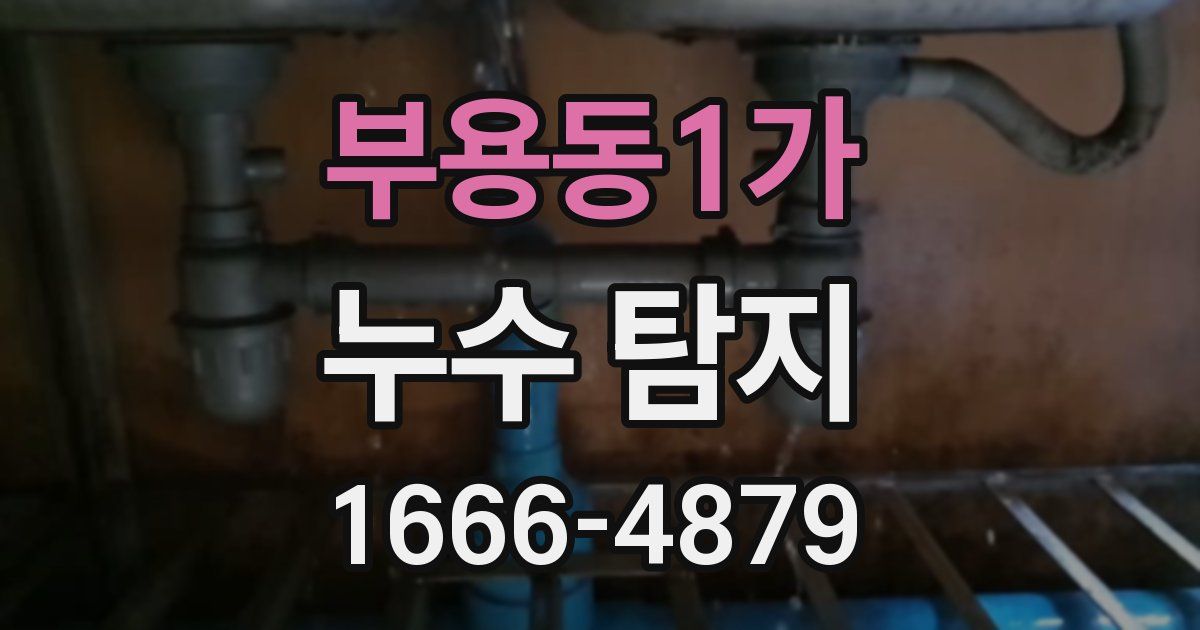 부용동1가 누수 탐지