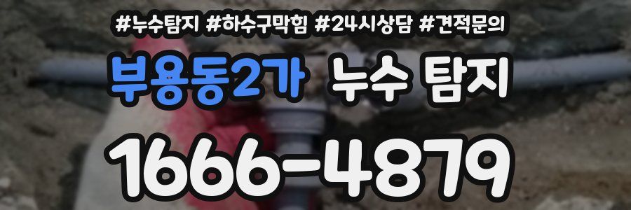 부용동2가 누수 탐지