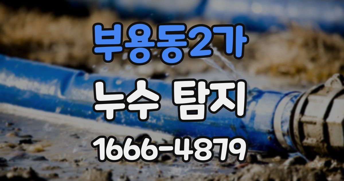 부용동2가 누수 탐지