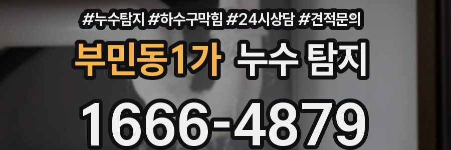 부민동1가 누수 탐지